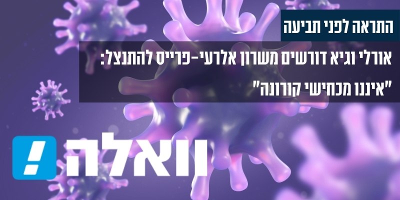 עו"ד גיא אופיר - וואלה