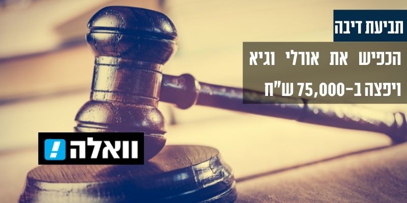 עו"ד גיא אופיר - וואלה